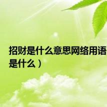 招财是什么意思网络用语(招财是什么)