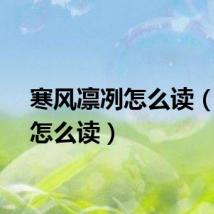 寒风凛冽怎么读（凛冽怎么读）