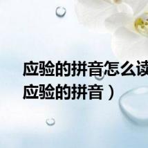 应验的拼音怎么读音（应验的拼音）