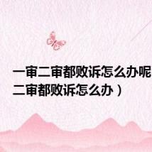 一审二审都败诉怎么办呢(一审二审都败诉怎么办)