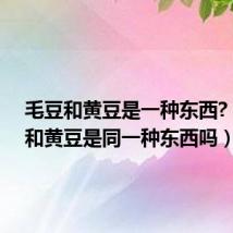 毛豆和黄豆是一种东西?(毛豆和黄豆是同一种东西吗)