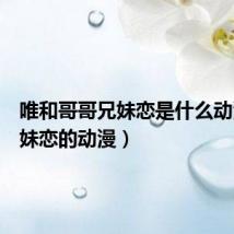 唯和哥哥兄妹恋是什么动漫(兄妹恋的动漫)