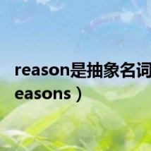 reason是抽象名词吗(reasons)