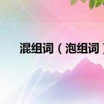 混组词（泡组词）