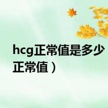 hcg正常值是多少（hct正常值）