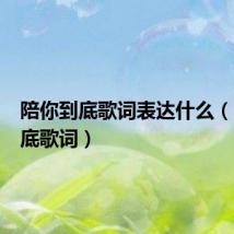 陪你到底歌词表达什么（陪你到底歌词）