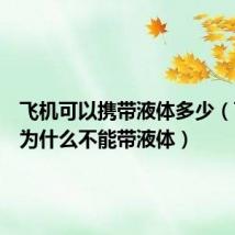 飞机可以携带液体多少(飞机上为什么不能带液体)