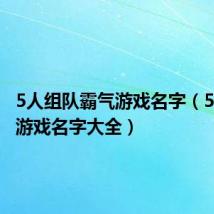 5人组队霸气游戏名字(5人组队游戏名字大全)