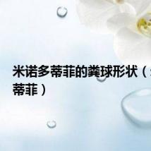 米诺多蒂菲的粪球形状（米诺多蒂菲）
