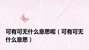 可有可无什么意思呢（可有可无什么意思）
