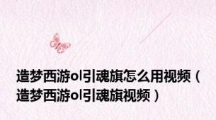 造梦西游ol引魂旗怎么用视频（造梦西游ol引魂旗视频）