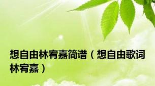 想自由林宥嘉简谱（想自由歌词林宥嘉）