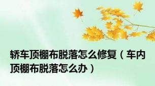 轿车顶棚布脱落怎么修复（车内顶棚布脱落怎么办）