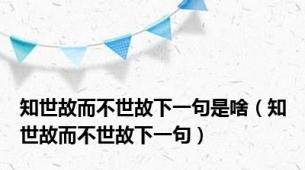 知世故而不世故下一句是啥（知世故而不世故下一句）