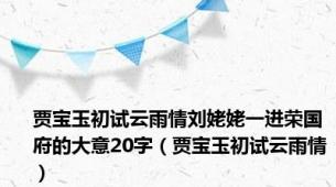 贾宝玉初试云雨情刘姥姥一进荣国府的大意20字（贾宝玉初试云雨情）