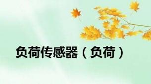 负荷传感器（负荷）