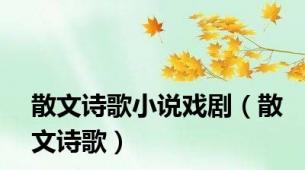 散文诗歌小说戏剧（散文诗歌）
