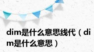 dim是什么意思线代（dim是什么意思）