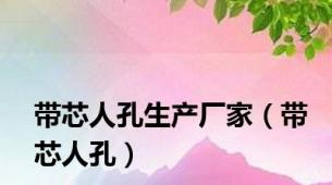 带芯人孔生产厂家（带芯人孔）