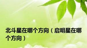 北斗星在哪个方向（启明星在哪个方向）