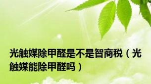 光触媒除甲醛是不是智商税（光触媒能除甲醛吗）