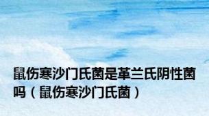 鼠伤寒沙门氏菌是革兰氏阴性菌吗（鼠伤寒沙门氏菌）
