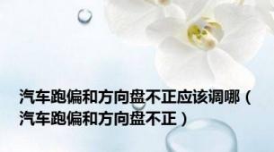 汽车跑偏和方向盘不正应该调哪（汽车跑偏和方向盘不正）
