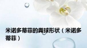米诺多蒂菲的粪球形状（米诺多蒂菲）