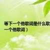 等下一个他歌词是什么歌（等下一个他歌词）