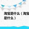 淘宝是什么（淘宝网址是什么）