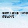 蟑螂怎么消灭用什么药最好（蟑螂怎么消灭）
