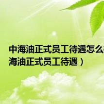 中海油正式员工待遇怎么样(中海油正式员工待遇)