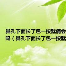 鼻孔下面长了包一按就痛会自己好吗（鼻孔下面长了包一按就痛）