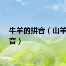 牛羊的拼音（山羊的拼音）