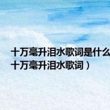 十万毫升泪水歌词是什么意思(十万毫升泪水歌词)