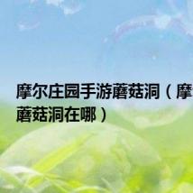 摩尔庄园手游蘑菇洞(摩尔庄园蘑菇洞在哪)