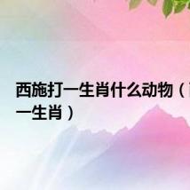 西施打一生肖什么动物(西施打一生肖)