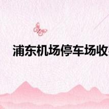 浦东机场停车场收费