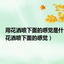 用花洒喷下面的感觉是什么(用花洒喷下面的感觉)