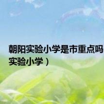 朝阳实验小学是市重点吗(朝阳实验小学)