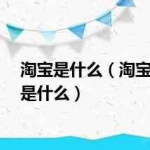 淘宝是什么(淘宝网址是什么)