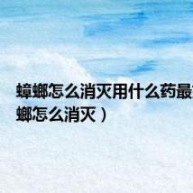 蟑螂怎么消灭用什么药最好(蟑螂怎么消灭)
