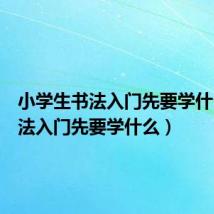 小学生书法入门先要学什么(书法入门先要学什么)