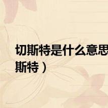 切斯特是什么意思（切斯特）