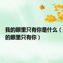 我的眼里只有你是什么(就是我的眼里只有你)