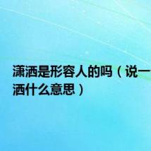 潇洒是形容人的吗(说一个人潇洒什么意思)
