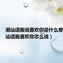 潮汕话我说喜欢你是什么意思(潮汕话我喜欢你怎么说)