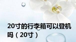 20寸的行李箱可以登机吗（20寸）