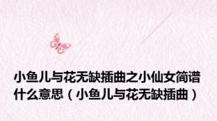 小鱼儿与花无缺插曲之小仙女简谱什么意思（小鱼儿与花无缺插曲）
