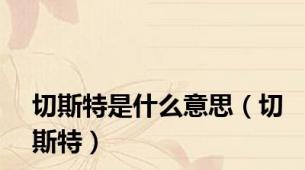 切斯特是什么意思（切斯特）